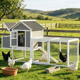 Chicken Coop (Option: Default)