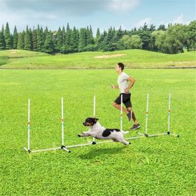 Dog Outdoor Exercise Training Set ( Amazon Shipping)(Prohibited by WalMart) (Option: default title)